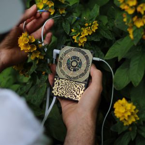 Pocket SCÍON